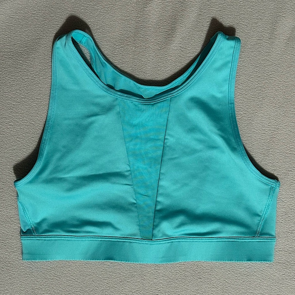 Victoria Sport Bra. Blue with mesh down the middle v-cut and on back.